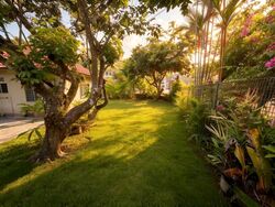 Adelphi Park Estate (D20), Terrace #613363611